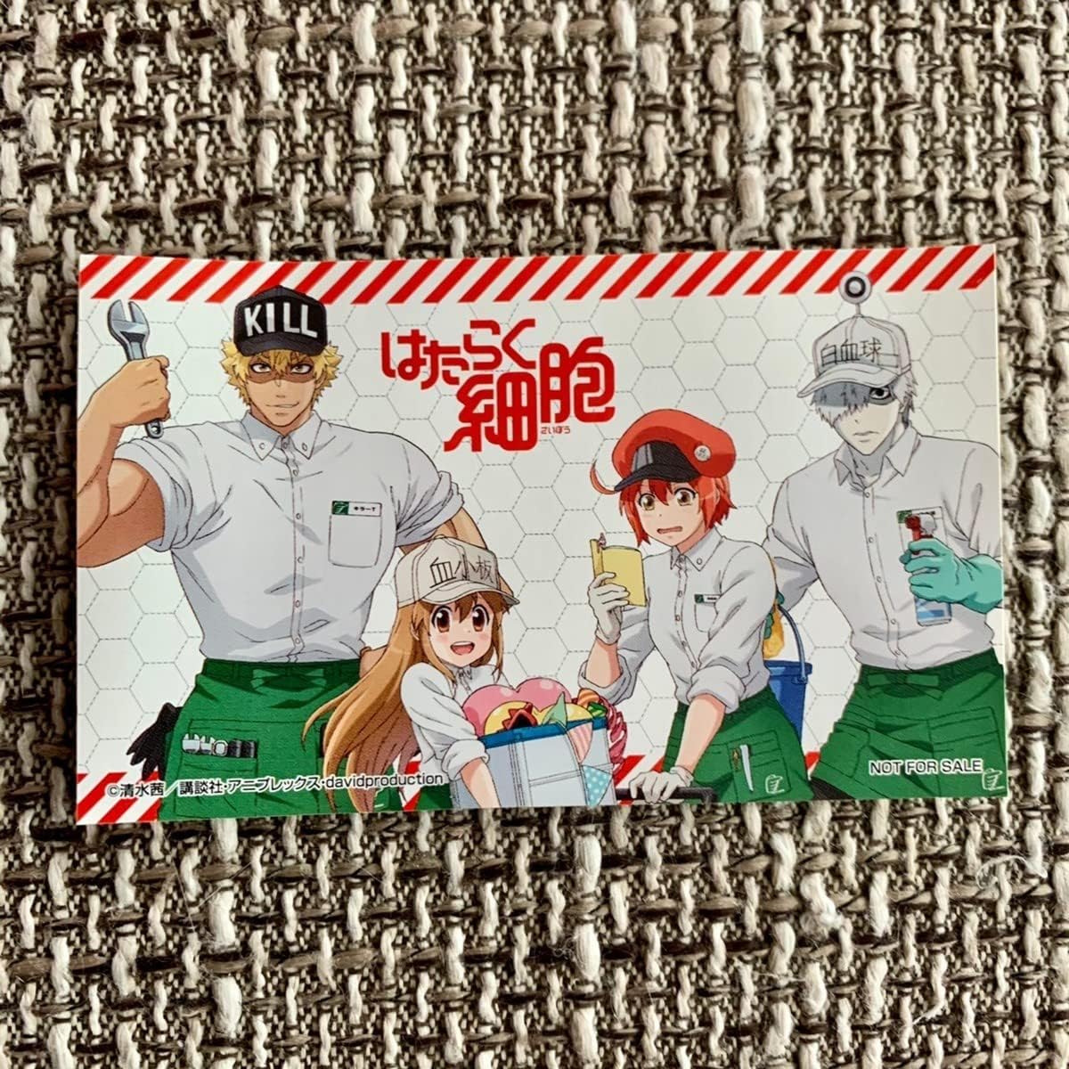 Amazon | はたらく細胞 × 東急ハンズ 特典 ステッカー 赤血球 白血球